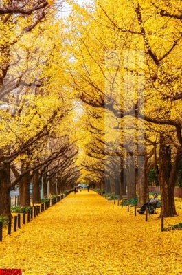 Ảnh gốc File tranh gốc in tranh tường nền tổng hợp H32474 (độ nét cao) in tráng gương