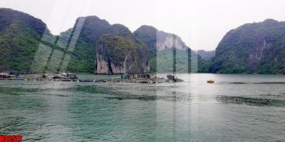 File tranh File tranh gốc in tranh tường nền tổng hợp H32517 (gốc) in film