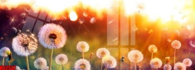 File tranh File tranh gốc in tranh tường nền tổng hợp H32537 (ảnh gốc) in trần nhà