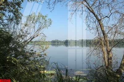 File tranh File tranh gốc in tranh tường nền tổng hợp H32548 (gốc) in backlit film