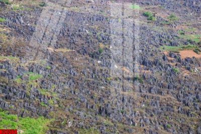 Hình ảnh file gốc in lụa File tranh gốc in tranh tường nền tổng hợp H32564