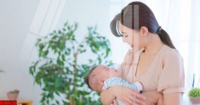 File tranh File tranh gốc in tranh tường nền tổng hợp H32652 (gốc) chủ đề động vật