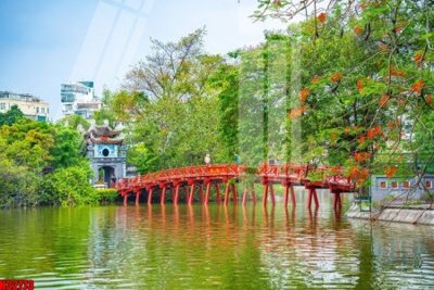 File tranh File tranh gốc in tranh tường nền tổng hợp H32773 (gốc) chủ đề tĩnh vật