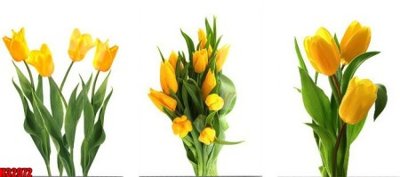 Download file gốc File tranh gốc in tranh tường nền tổng hợp H32972 (độ nét cao)