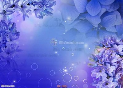 Tải file file tranh hoa H33 (gốc) in tranh tráng gương