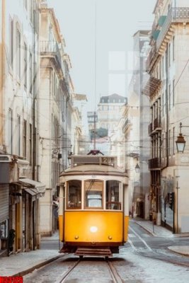 File tranh File tranh gốc in tranh tường nền tổng hợp H33126 (gốc) chủ đề tĩnh vật