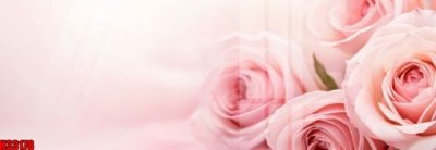 File in trần File tranh gốc in tranh tường nền tổng hợp H33178 (bản gốc) 5D