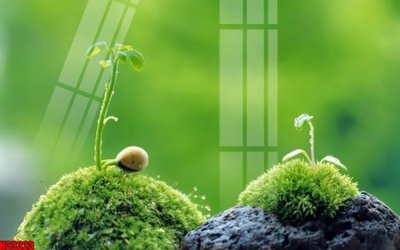 Mua file ảnh gốc File tranh gốc in tranh tường nền tổng hợp H33323 (chất lượng cao)