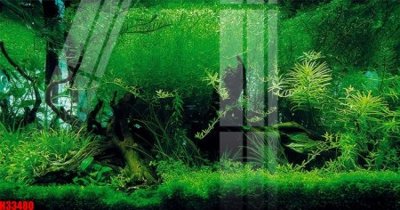 File tranh gốc File tranh gốc in tranh tường nền tổng hợp H33480 (bản đẹp) độc quyền