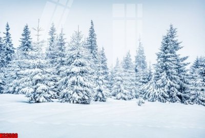 Hình ảnh file gốc in lụa File tranh gốc in tranh tường nền tổng hợp H33566