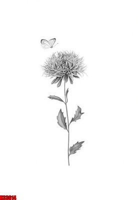 File tranh File tranh gốc in tranh tường nền tổng hợp H33614 (ảnh gốc) độ nét vượt trội