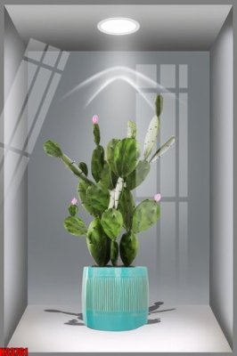 Ảnh gốc File tranh gốc in tranh tường nền tổng hợp H33761 (siêu chi tiết) để in ấn