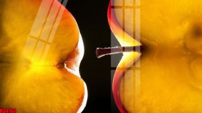 File gốc File tranh gốc in tranh tường nền tổng hợp H34164 (in lụa) họa tiết 3D