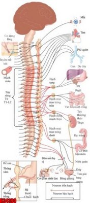 File in trần File tranh gốc in tranh tường nền tổng hợp H34190 (bản gốc 3D) sống động