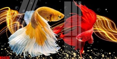 File gốc File tranh gốc in tranh tường nền tổng hợp H34232 (vector) cho in ấn