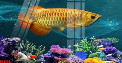 Hình ảnh file gốc in trần nhà File tranh gốc in tranh tường nền tổng hợp H34234