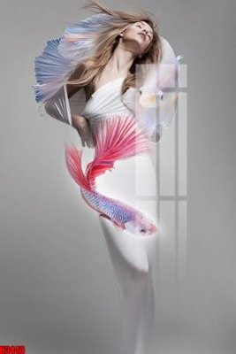 Tải file File tranh decor tranh bộ treo tường tổng hợp H3440 (gốc) in ấn chất lượng