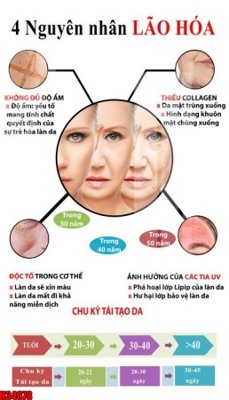 File gốc File tranh gốc in tranh tường nền tổng hợp H34678 (trang trí) cho phòng khách