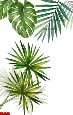 File PSD File tranh gốc in tranh tường nền tổng hợp H34693 (gốc) tách lớp chi tiết