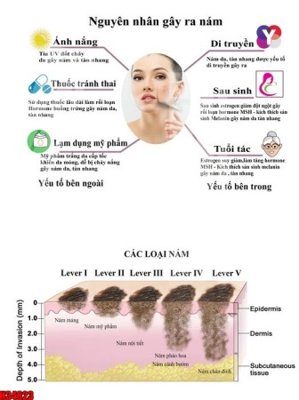 File in lụa File tranh gốc in tranh tường nền tổng hợp H34823 (chất lượng cao) File tranh gốc in tranh tường nền tổng hợp H34823