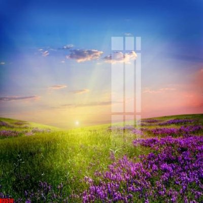 File gốc in ấn File tranh decor tranh bộ treo tường tổng hợp H3514 (sẵn sàng tải về)