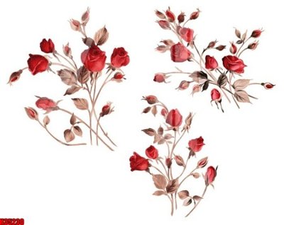 File tranh in tráng gương File tranh gốc in tranh tường nền tổng hợp H35230 (siêu nét)