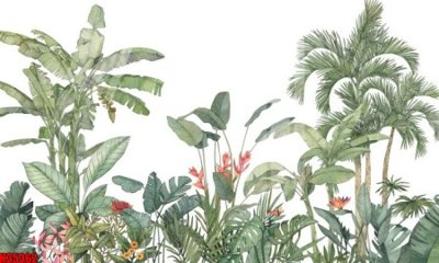 File tranh in tráng gương File tranh gốc in tranh tường nền tổng hợp H35362 (siêu nét)