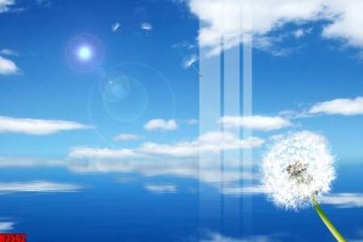 Download file File tranh decor tranh bộ treo tường tổng hợp H3562 (chất lượng in ấn)