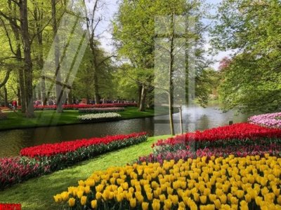 File tranh File tranh gốc in tranh tường nền tổng hợp H35711 (gốc) chủ đề trẻ em