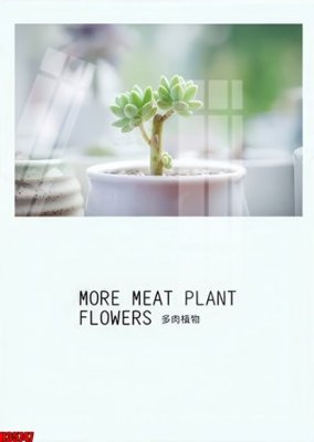 File in ấn File tranh gốc in tranh tường nền tổng hợp H35747 (bản gốc) sắc nét