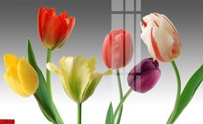 File tranh File tranh decor tranh bộ treo tường tổng hợp H3590 (bản gốc) treo quán cafe