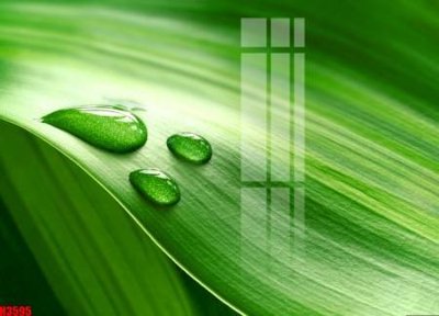 File in ấn File tranh decor tranh bộ treo tường tổng hợp H3595 chuyên nghiệp