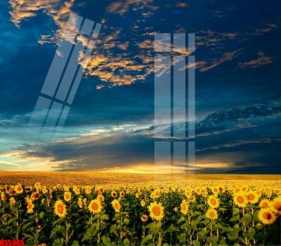 File in trần File tranh gốc in tranh tường nền tổng hợp H35965 (file gốc) hoa văn 3D