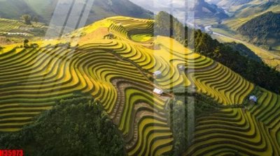 File gốc File tranh gốc in tranh tường nền tổng hợp H35973 (in tráng gương) sang trọng