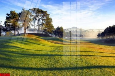 File tranh File tranh gốc in tranh tường nền tổng hợp H35980 (gốc) chủ đề thành phố