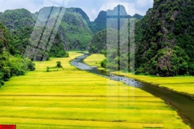 Ảnh gốc File tranh gốc in tranh tường nền tổng hợp H35981 (siêu chi tiết) để in ấn