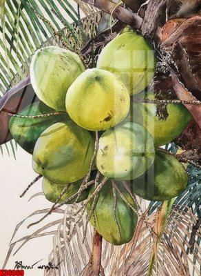 File tranh File tranh gốc in tranh tường nền tổng hợp H36069 (ảnh gốc) in trần nhà