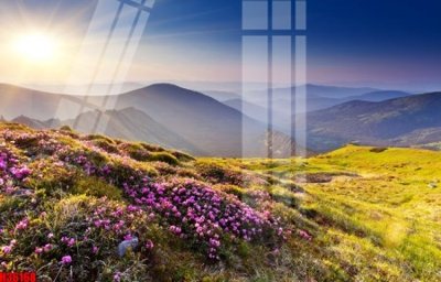 Tải file File tranh gốc in tranh tường nền tổng hợp H36168 (gốc) để in ấn ngay