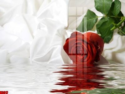 Tải file tranh File tranh decor tranh bộ treo tường tổng hợp H3617 (ảnh gốc) ngay