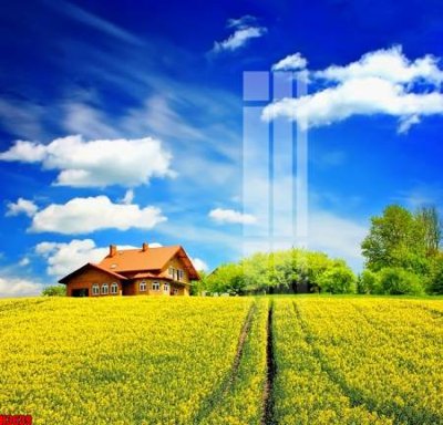 File in trần File tranh decor tranh bộ treo tường tổng hợp H3639 (file gốc) hoa văn 3D