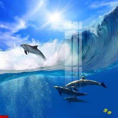 File gốc File tranh decor tranh bộ treo tường tổng hợp H3643 (in mica) cắt laser