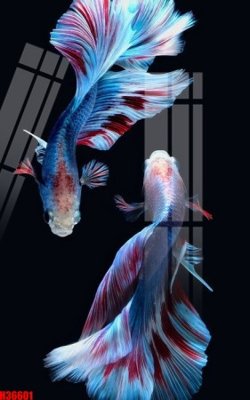 Tải file gốc File tranh gốc in tranh tường nền tổng hợp H36601 (để in lụa)