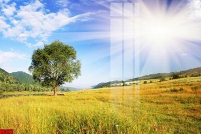 File tranh File tranh decor tranh bộ treo tường tổng hợp H3677 (bản gốc) in canvas