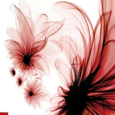 File tranh File tranh decor tranh bộ treo tường tổng hợp H3684 (gốc) chủ đề động vật