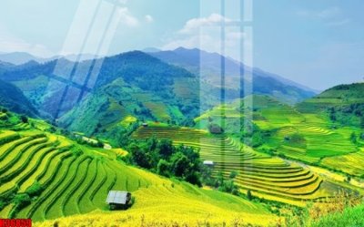 File in trần File tranh gốc in tranh tường nền tổng hợp H36859 (file gốc) phong thủy