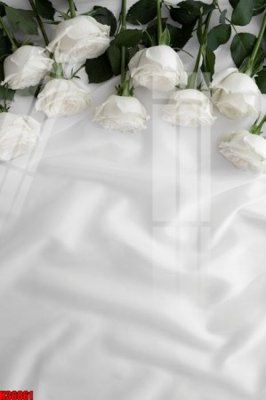 File gốc File tranh gốc in tranh tường nền tổng hợp H36861 (cho in ấn) từ kho Filetranh