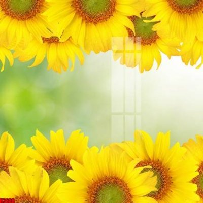 File tranh in tráng gương File tranh decor tranh bộ treo tường tổng hợp H3688 (siêu nét)