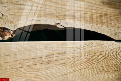 File gốc File tranh gốc in tranh tường nền tổng hợp H37182 (chuẩn CMYK) cho nhà in