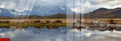 Download file File tranh gốc in tranh tường nền tổng hợp H37263 (gốc) cho xưởng in