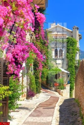 File gốc in tráng gương File tranh gốc in tranh tường nền tổng hợp H37267 chi tiết